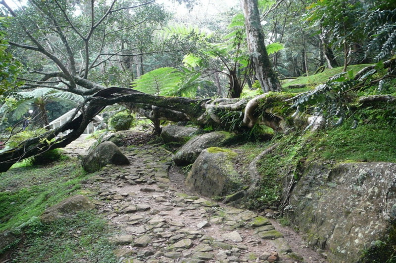 Sri Lanka, Xakgala Botanical Garden